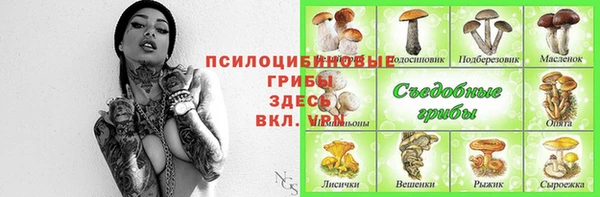 мдпв Иннополис