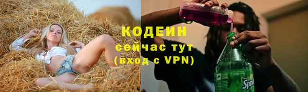шишки Инта