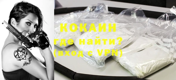 шишки Инта