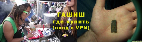шишки Инта