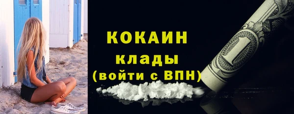 винт Инсар