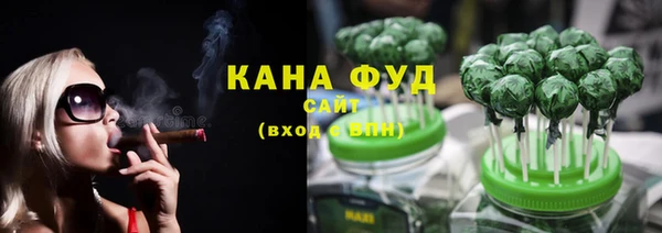 мдпв Иннополис