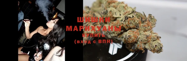 винт Инсар
