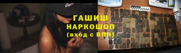 шишки Инта