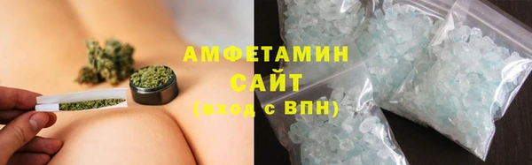 шишки Инта
