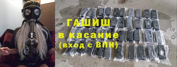 шишки Инта