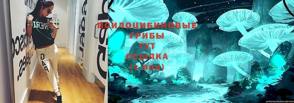 шишки Инта