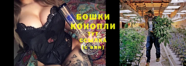 мдпв Иннополис