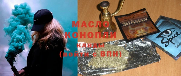 шишки Инта