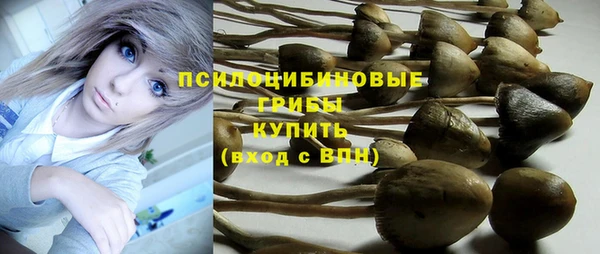 мдпв Иннополис