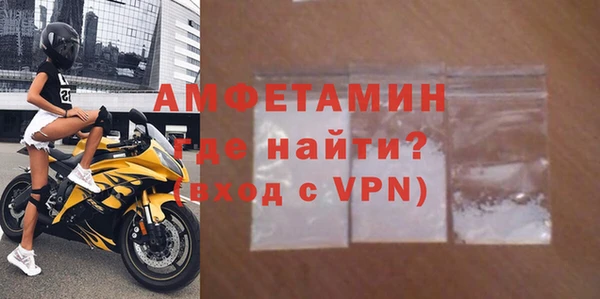 шишки Инта