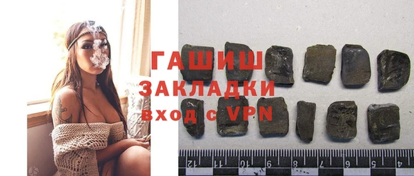 шишки Инта