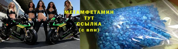шишки Инта
