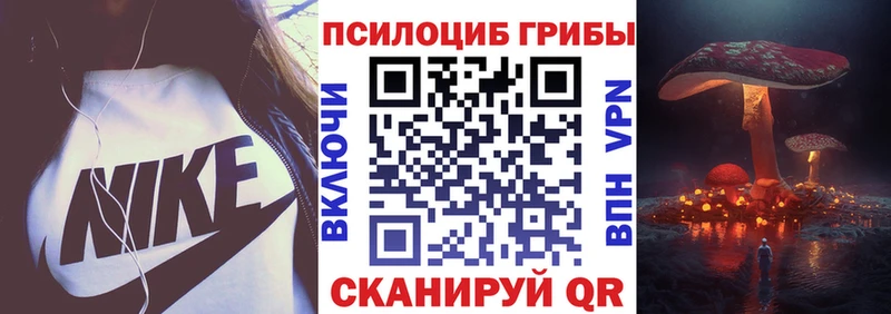 Псилоцибиновые грибы прущие грибы Кострома