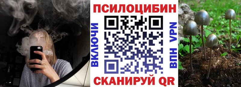 Купить где  Кострома  Псилоцибиновые грибы мухоморы 